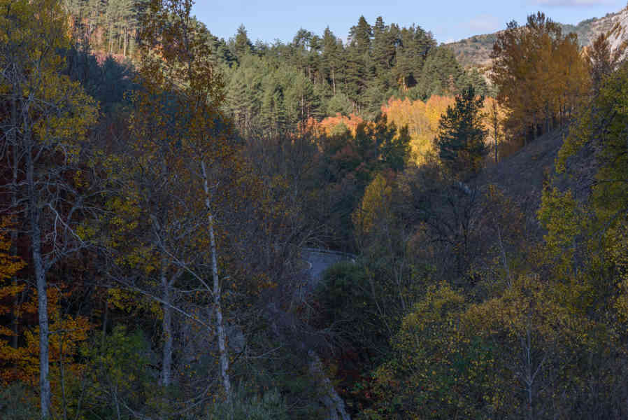 Huesca - Laspaúles - congosto de Obarra 15.jpg
